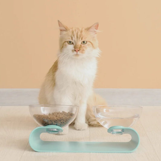 Furry Hydration: 10 Tips to Encourage Your Cat to Drink More Water - Higooga