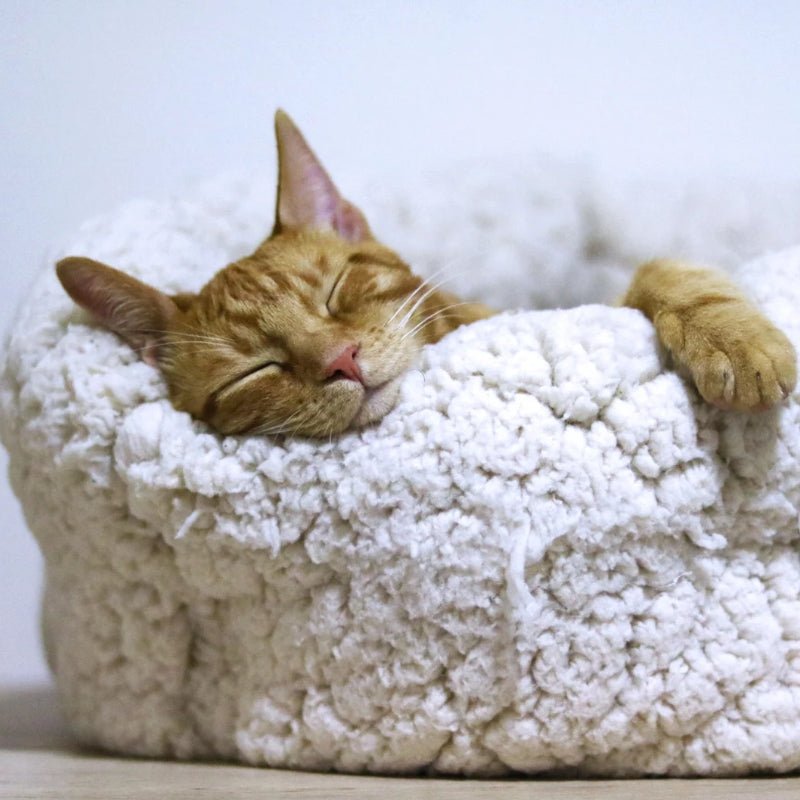 Senior on sale cat bed