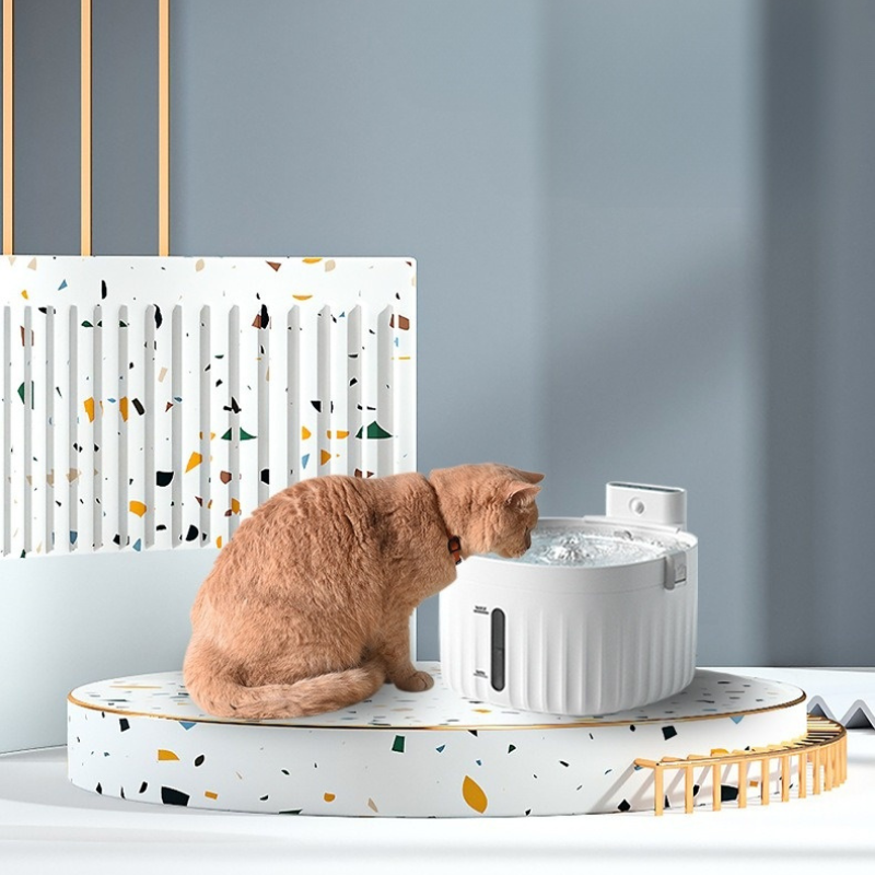 Motion sensor online cat fountain