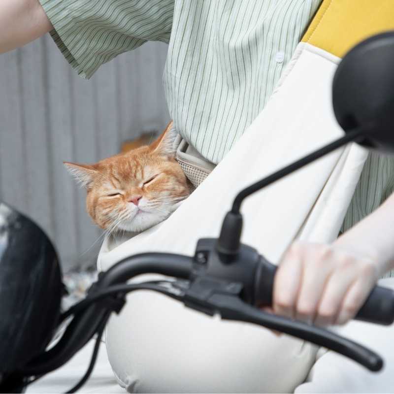 HiDREAM FeatherLite Pet Travel Crossbody Bag | Higooga