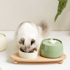 Ceramic Beauty Automatic Pet Water Fountain | Higooga