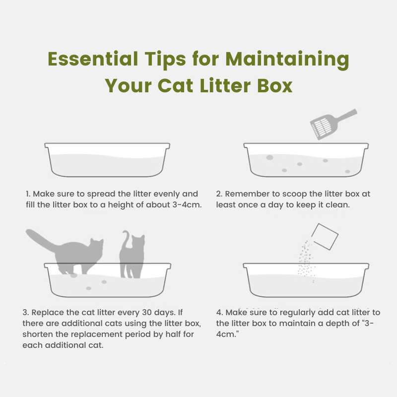 Extra - Large Semi - Enclosed Stainless Steel Litter Box with Splash Guard Design | Higooga