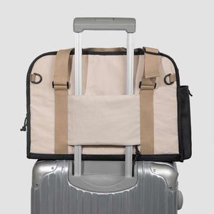 HiDREAM Convertible Pet Travel Bag & Sofa Bed | Higooga