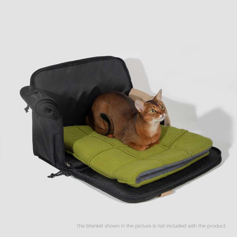 HiDREAM Convertible Pet Travel Bag & Sofa Bed | Higooga