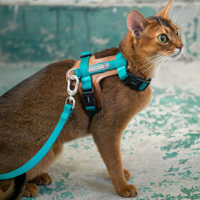 HiDREAM Extra Safe Adventure Harness & Leash | Higooga