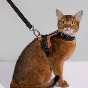 HiDREAM Extra Safe Adventure Harness & Leash | Higooga