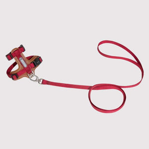 HiDREAM Extra Safe Adventure Harness & Leash | Higooga