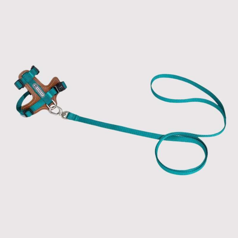 HiDREAM Extra Safe Adventure Harness & Leash | Higooga