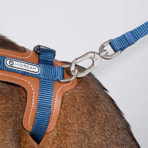 HiDREAM Extra Safe Adventure Harness & Leash | Higooga