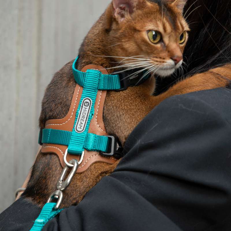 HiDREAM Extra Safe Adventure Harness & Leash | Higooga