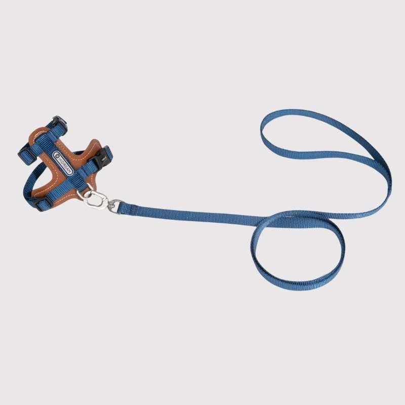 HiDREAM Extra Safe Adventure Harness & Leash | Higooga