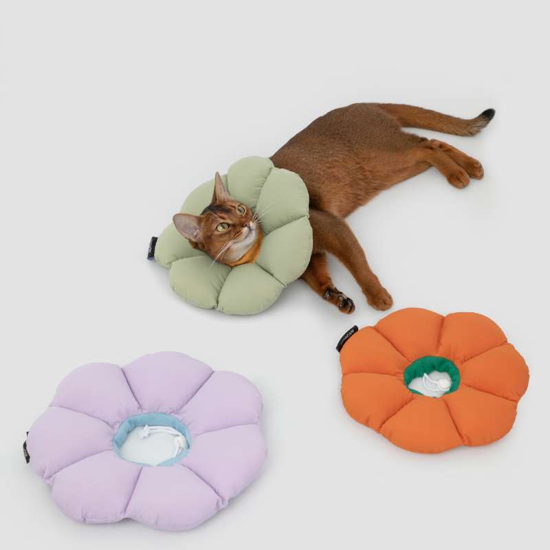 HiDREAM Flower Recovery Collar for Cats | Higooga