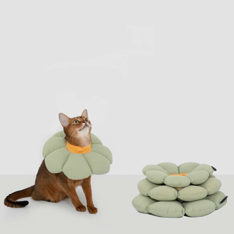 HiDREAM Flower Recovery Collar for Cats | Higooga
