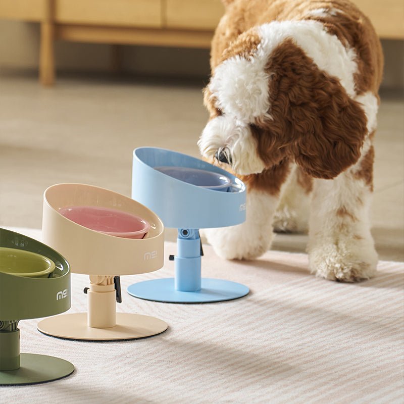 MS Ceramic Spill - Proof Elevated Pet Bowl | Higooga