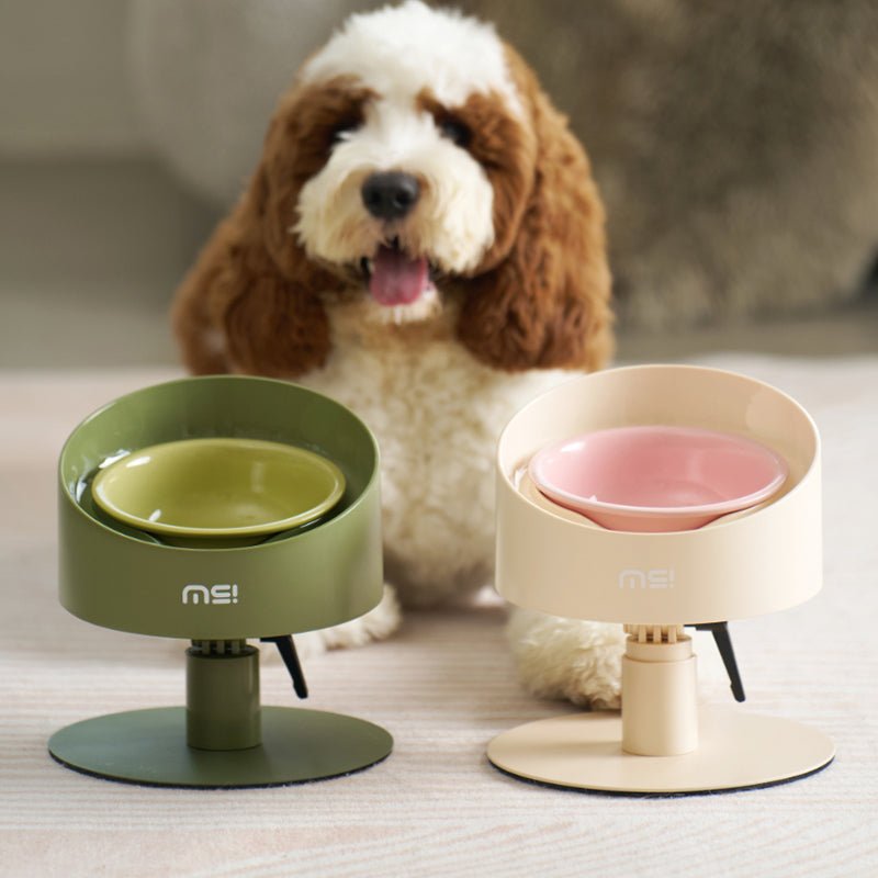 MS Ceramic Spill - Proof Elevated Pet Bowl | Higooga