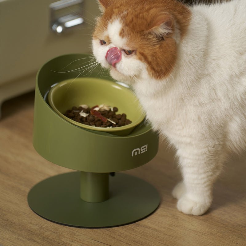 MS Ceramic Spill - Proof Elevated Pet Bowl | Higooga