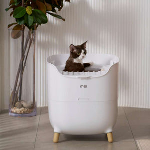 MS Modern & Spacious Top - Entry Cat Litter Box | Higooga