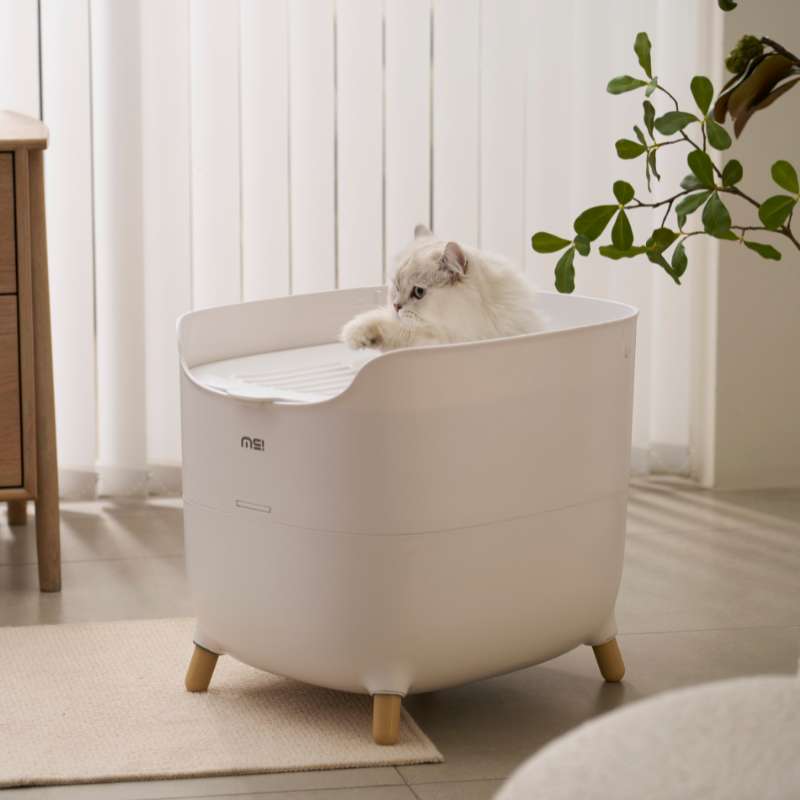 MS Modern & Spacious Top - Entry Cat Litter Box | Higooga