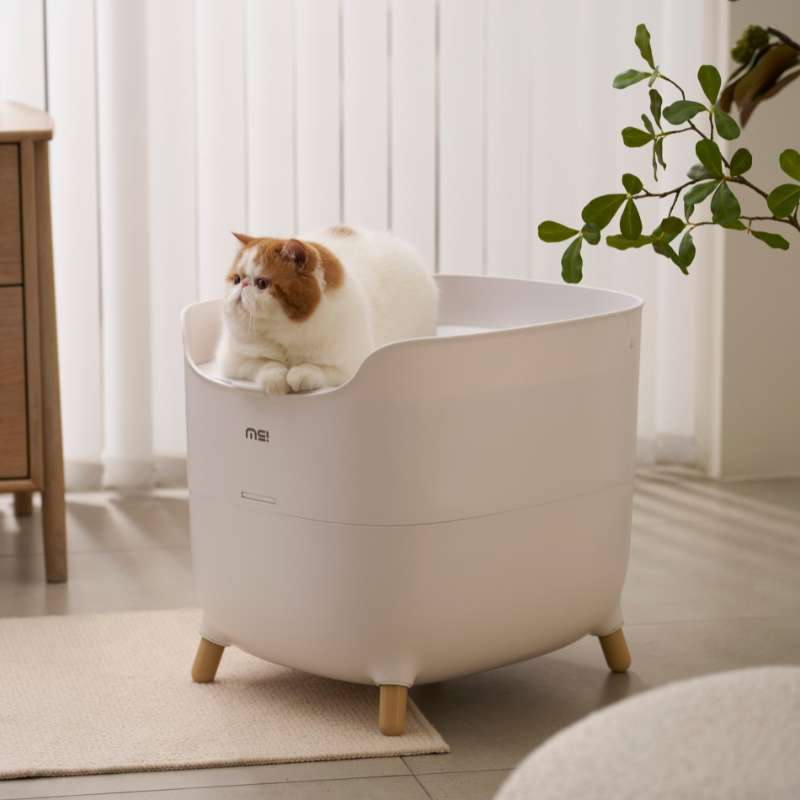 MS Modern & Spacious Top - Entry Cat Litter Box | Higooga