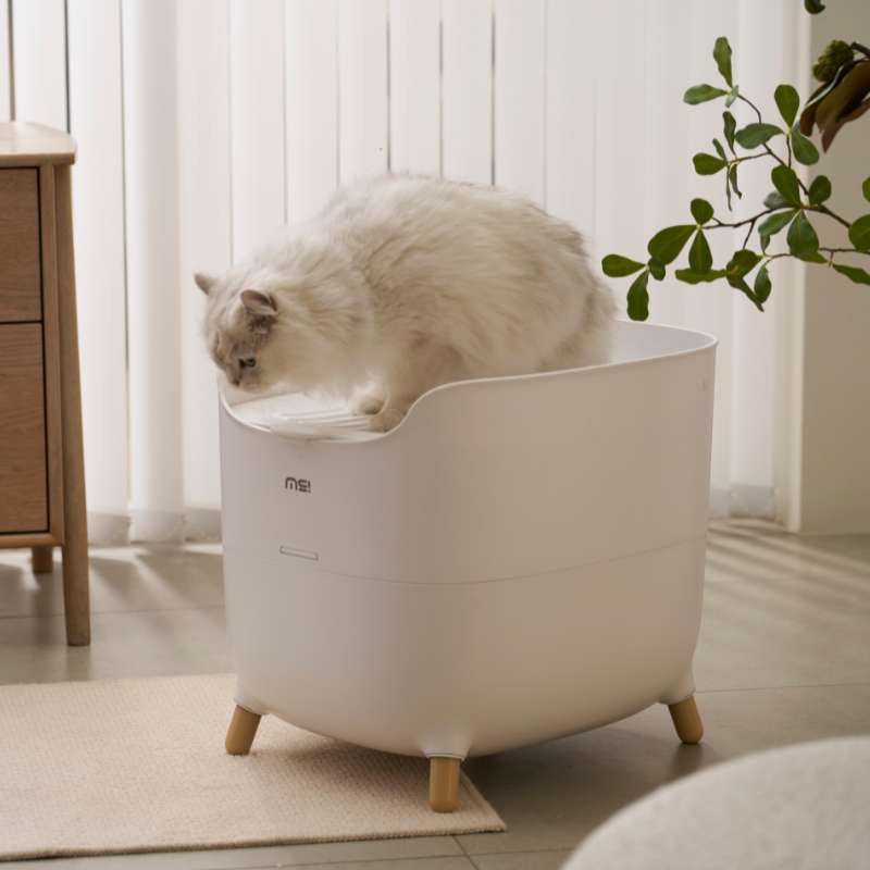 MS Modern & Spacious Top - Entry Cat Litter Box | Higooga