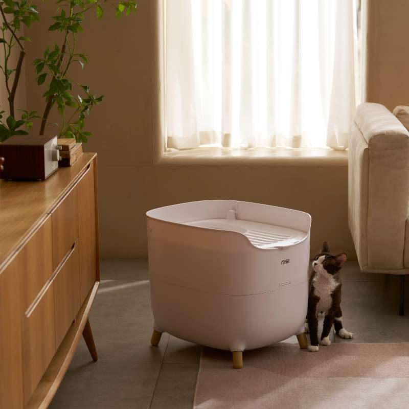 MS Modern & Spacious Top - Entry Cat Litter Box | Higooga