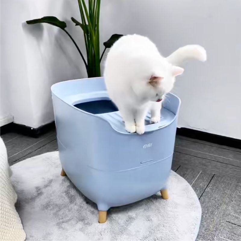 MS Modern & Spacious Top - Entry Cat Litter Box | Higooga