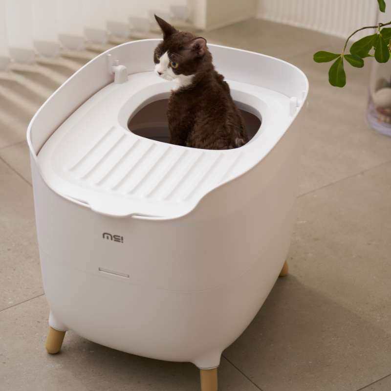 MS Modern & Spacious Top - Entry Cat Litter Box | Higooga