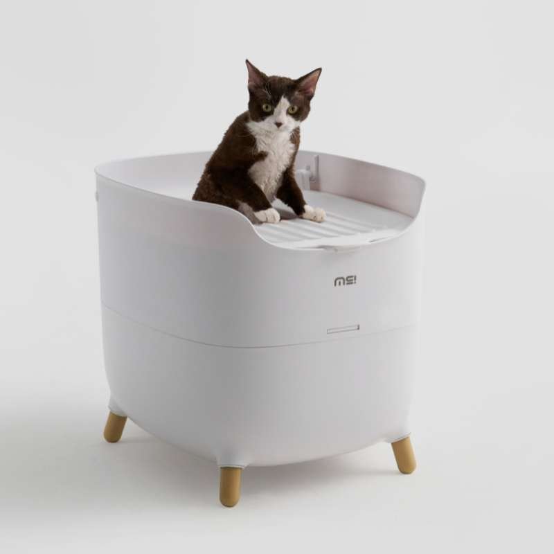 MS Modern & Spacious Top - Entry Cat Litter Box | Higooga