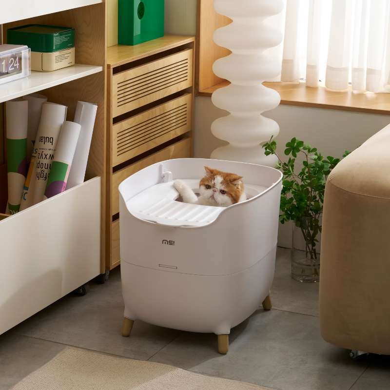 MS Modern & Spacious Top - Entry Cat Litter Box | Higooga
