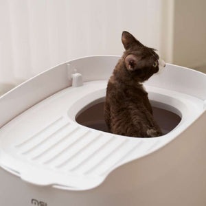 MS Modern & Spacious Top - Entry Cat Litter Box | Higooga