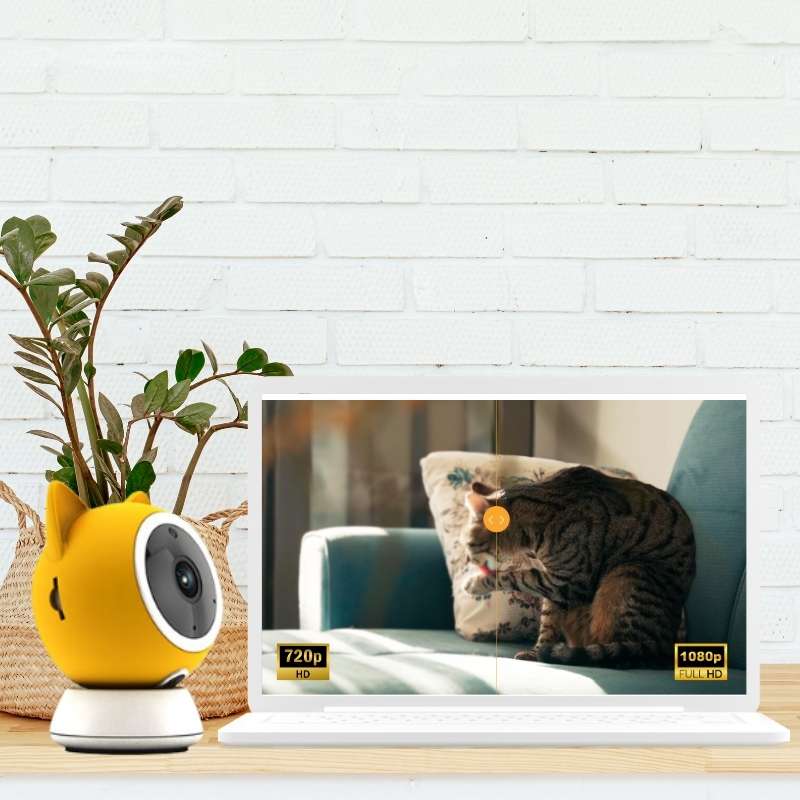 Petoneer Intelligent HD Pet Camera | Higooga