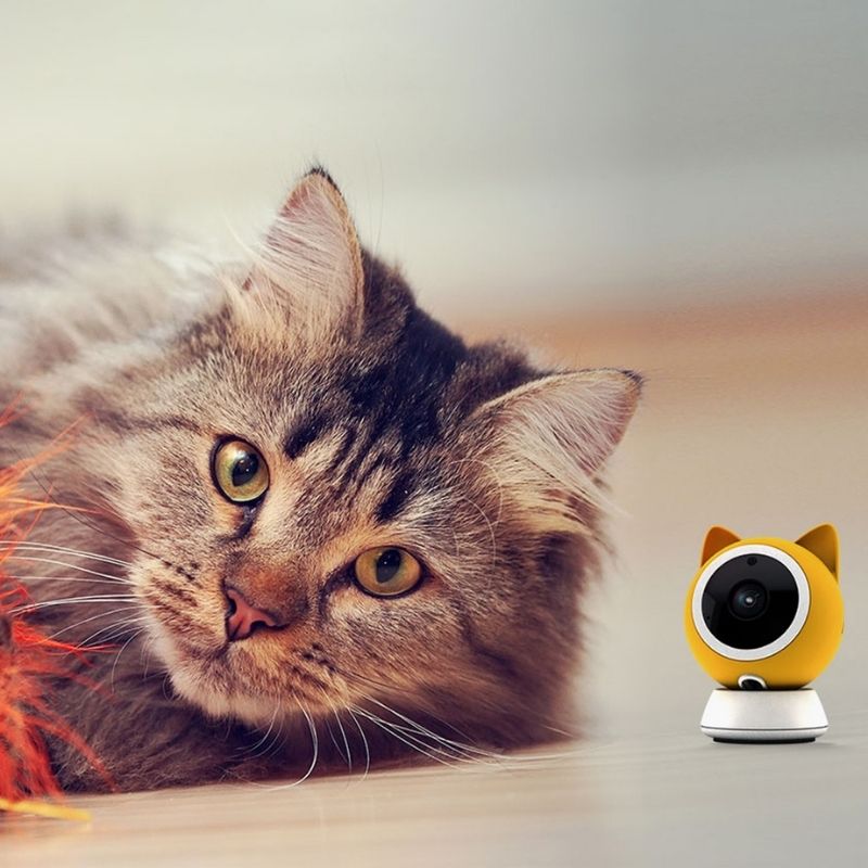 Petoneer Intelligent HD Pet Camera | Higooga