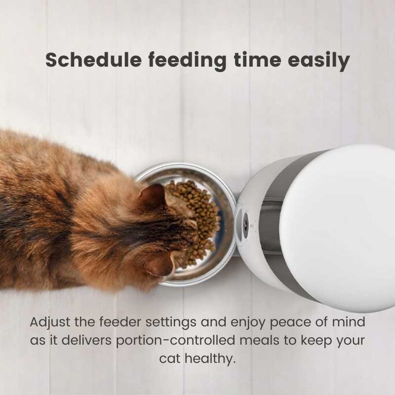 Petoneer NutriVue Smart Pet Feeder with Timed Feeding and HD Camera | Higooga
