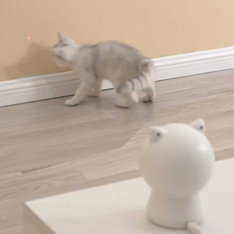 Petoneer Smart Dot Pounce & Play Interactive Cat Toy | Higooga