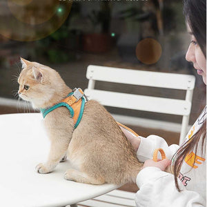 Pet Vest Harness in Macaron Colors - Carriers & Harnesses - Higooga