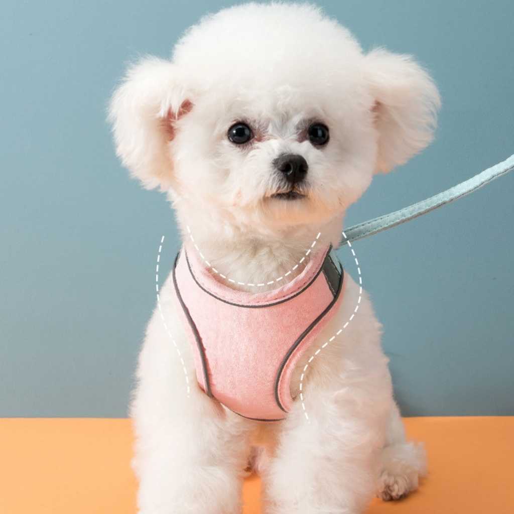 Pet Vest Harness in Macaron Colors - Carriers & Harnesses - Higooga