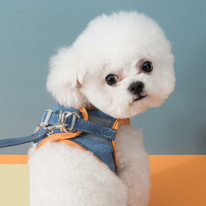 Pet Vest Harness in Macaron Colors - Carriers & Harnesses - Higooga