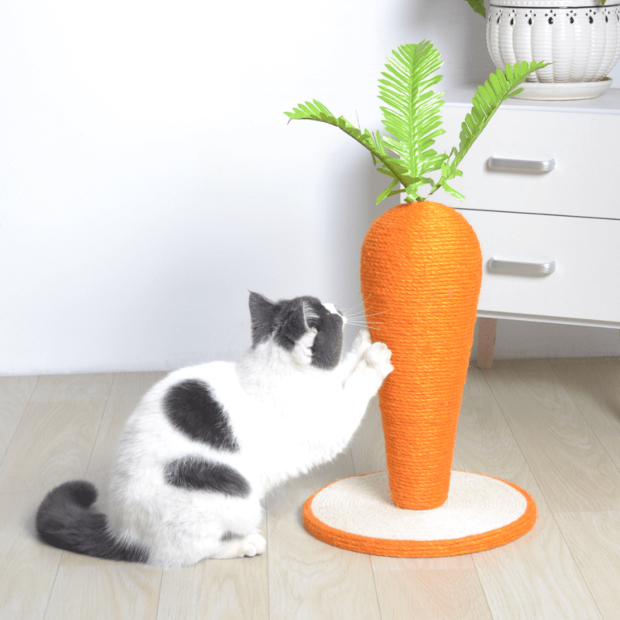 Giant Carrot Scratching Pole For Cats - Cat Scratchers - Higooga