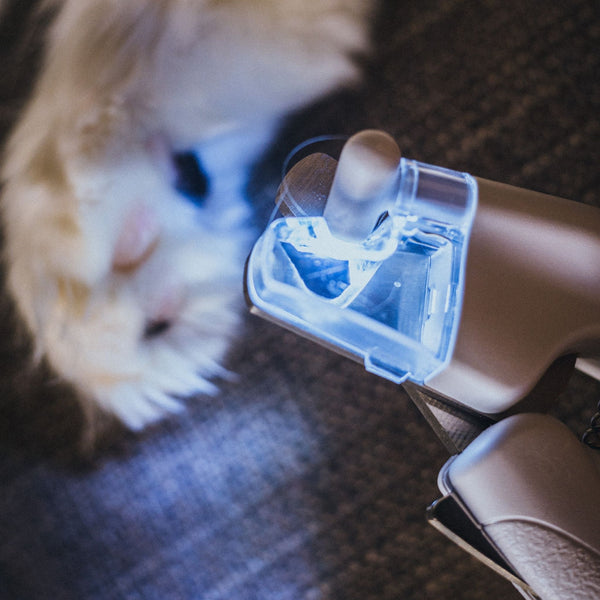 LED Light Pet Nail Clipper with Lock Switch - Pet Grooming - Higooga