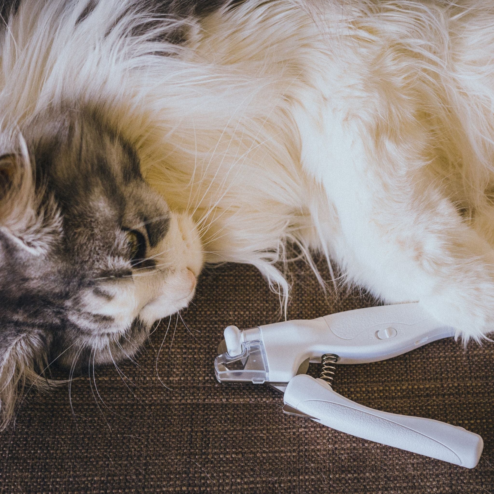 Effortless Cat Nail Clippers With Round Stopper
