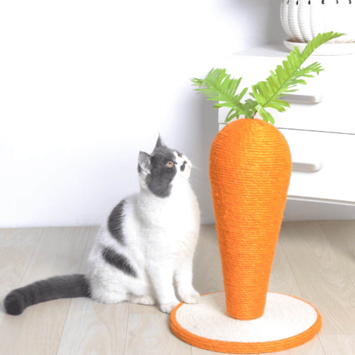 Giant Carrot Scratching Pole For Cats - Cat Scratchers - Higooga
