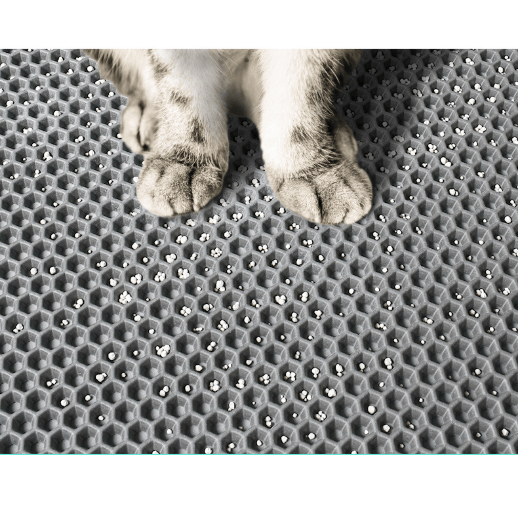 Double-layer Non-slip Cat Litter Mat - Litter Boxes & Tools - Higooga