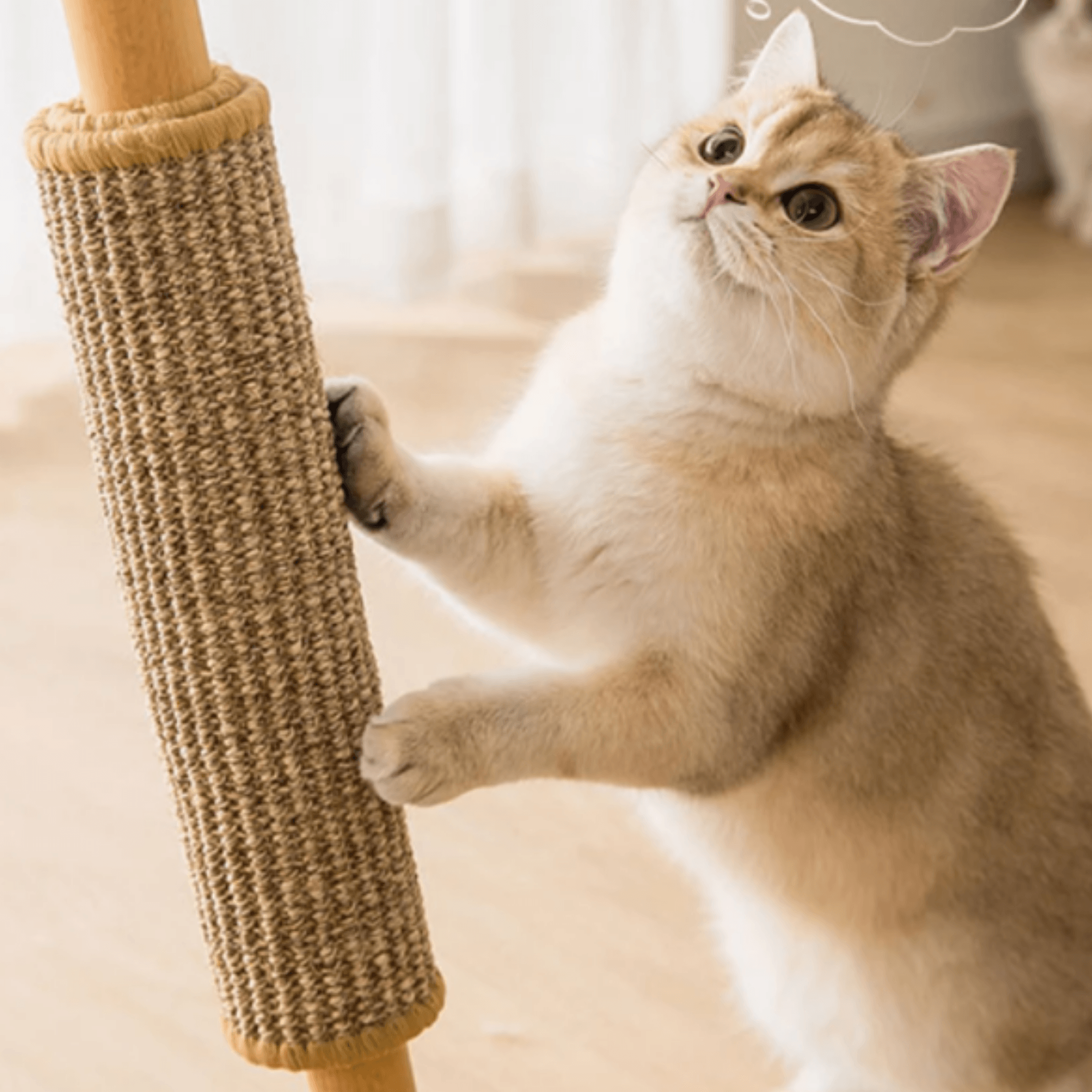Cat Scratch Sisal Mat - Cat Scratchers - Higooga