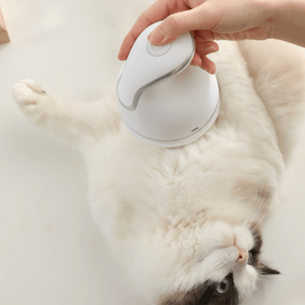 Electronic Pet Massager - Pet Grooming - Higooga