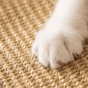 Cat Scratch Sisal Mat - Cat Scratchers - Higooga