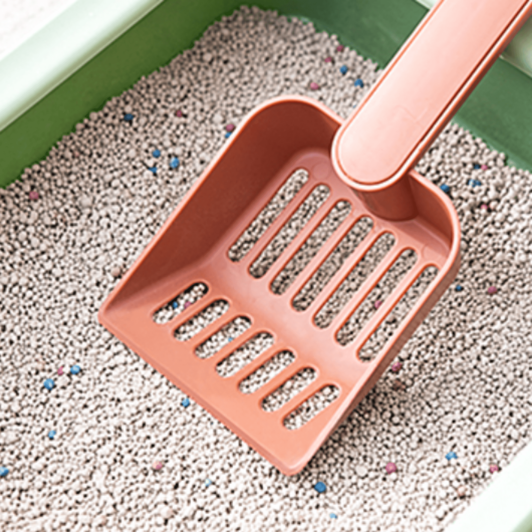 Cat Litter Scoop With Container - Litter Boxes & Tools - Higooga