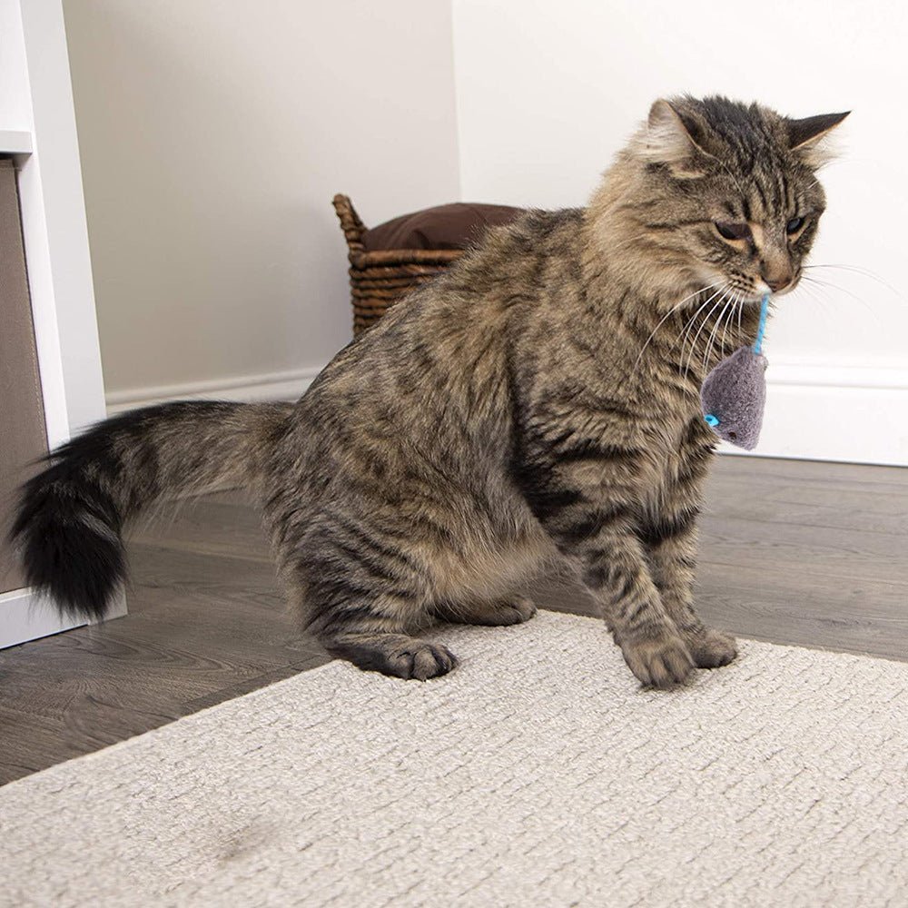 Plush Mice Cat Toy - Toys - Higooga