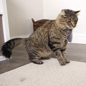 Plush Mice Cat Toy - Toys - Higooga