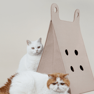 Tote Bag Style Cat Bed And Scratcher - Beds & Furniture - Higooga