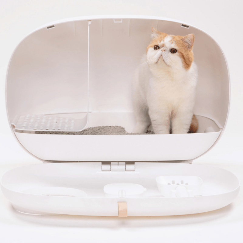 MS Leak-Proof Cat Litter Box with Mat & Scoop – Higooga